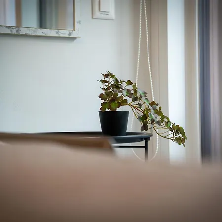 Center - Free Parking, Netflix And Wi-fi Locarno