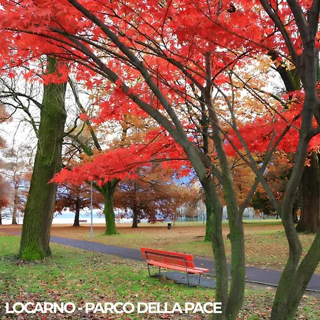 Center - Free Parking, Netflix And Wi-fi Locarno