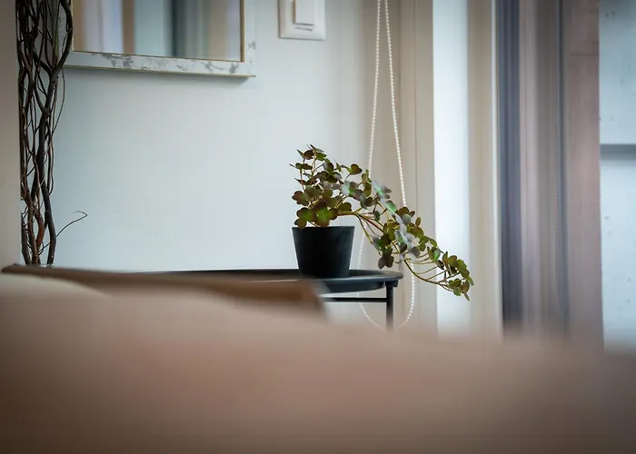 Center - Free Parking, Netflix And Wi-fi Locarno