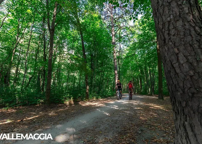 Center - Free Parking, Netflix And Wi-fi Apartment Locarno